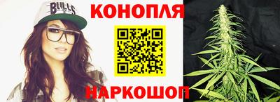 прущие грибы Апшеронск