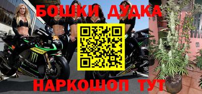 прущие грибы Апшеронск