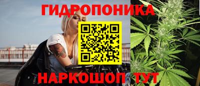 прущие грибы Апшеронск