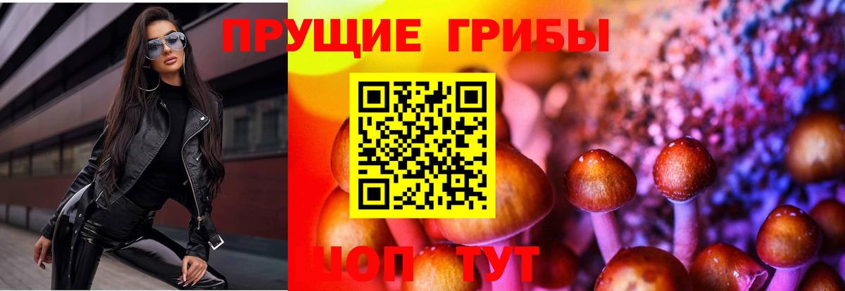 Артёмовский  Псилоцибиновые грибы Cubensis  что такое наркотик  Вход с VPN 
